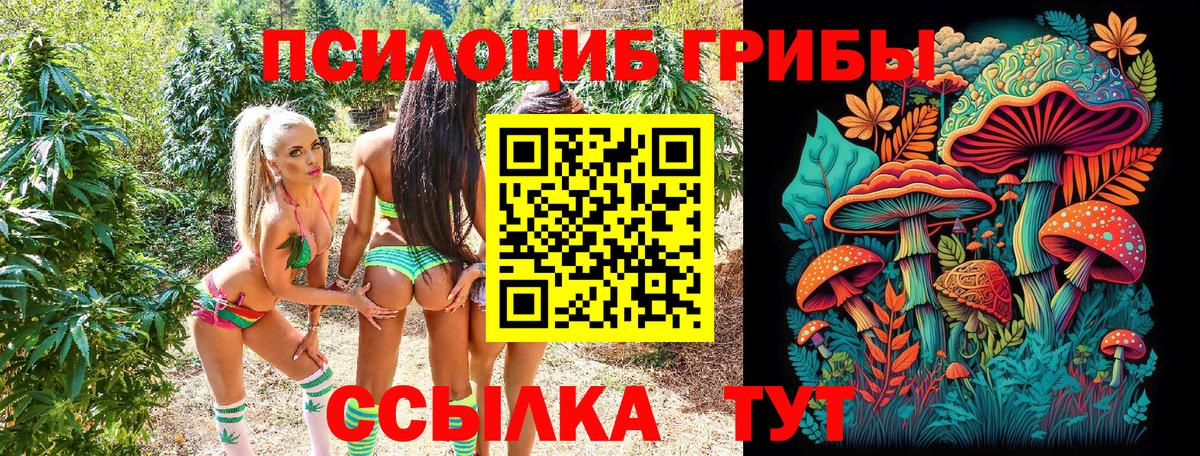 Псилоцибиновые грибы мухоморы  Вход с VPN  магазин    Тосно  Псилоцибиновые грибы мухоморы 