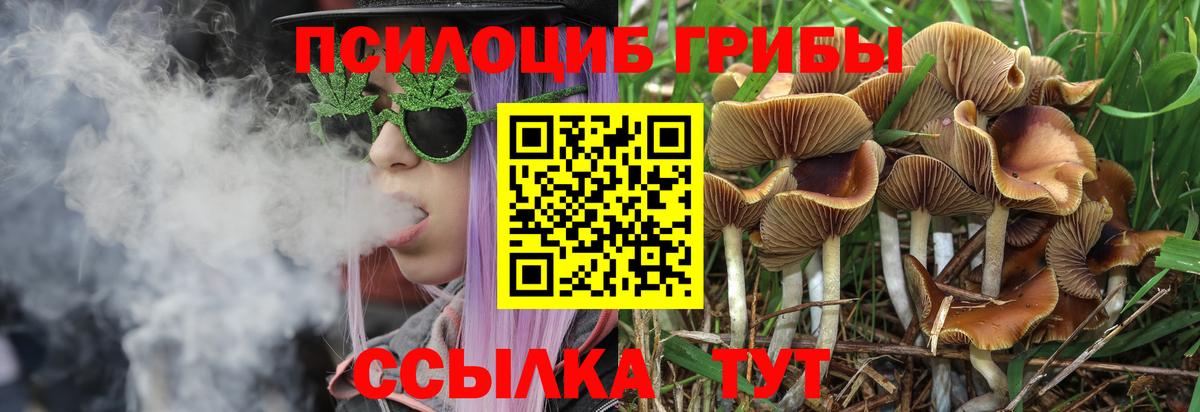 Галлюциногенные грибы GOLDEN TEACHER Тосно